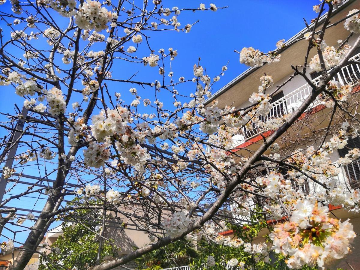קריקווניצה Apartments Matejcic מראה חיצוני תמונה